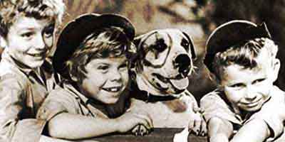Petey from the Little Rascals was a pit bull