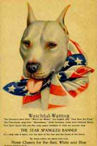 Nobel World War I pit bull poster