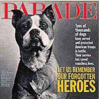 Sergeant Stubby -- Hero Dog of World War I